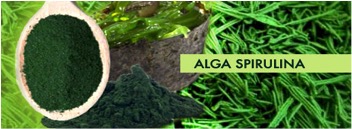 SPIRULINA E  VITAMINA B6: L’IMPORTANZA DI QUEST’ALGA E DELLA VITAMINA CONTENUTA IN ESSA.