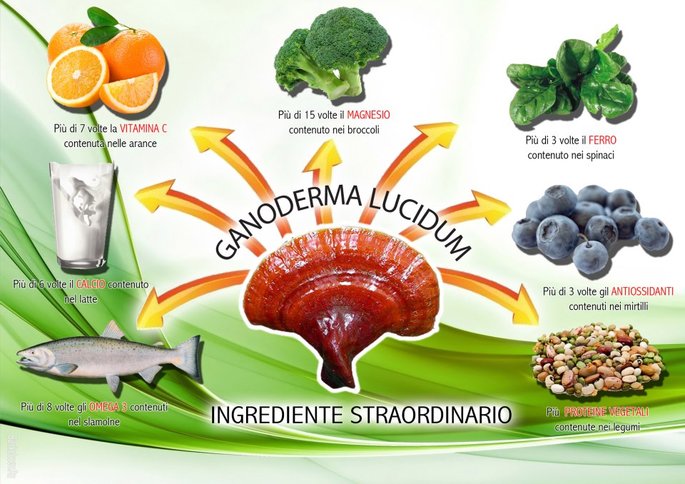 Il Ganoderma Lucidum: l’erba miracolosa arriva dall’est.