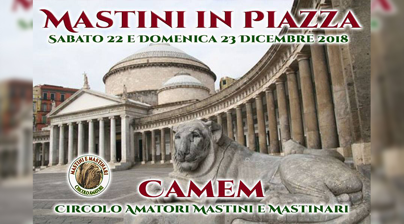 Camem, a Napoli il raduno nazionale dei mastini e dei mastinari