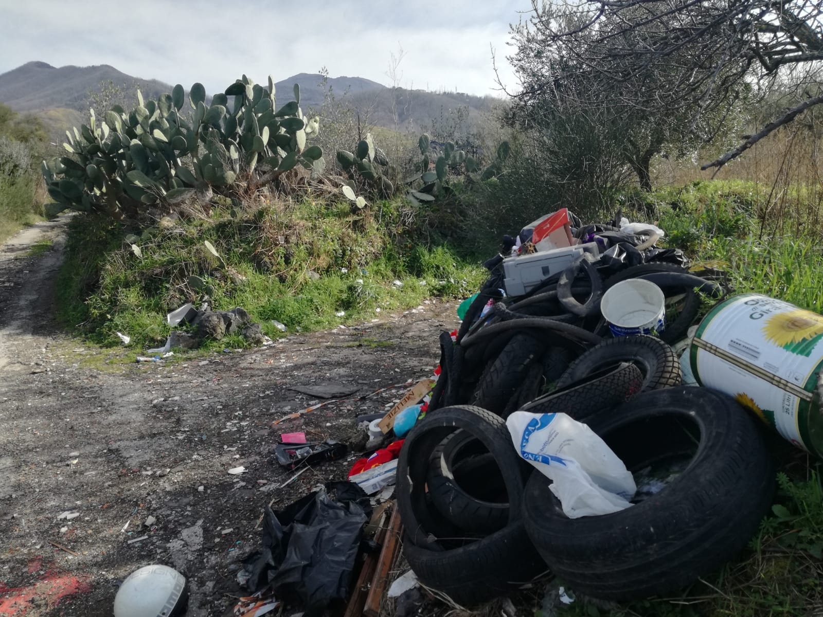 Ercolano, aggiornamenti da via Filaro