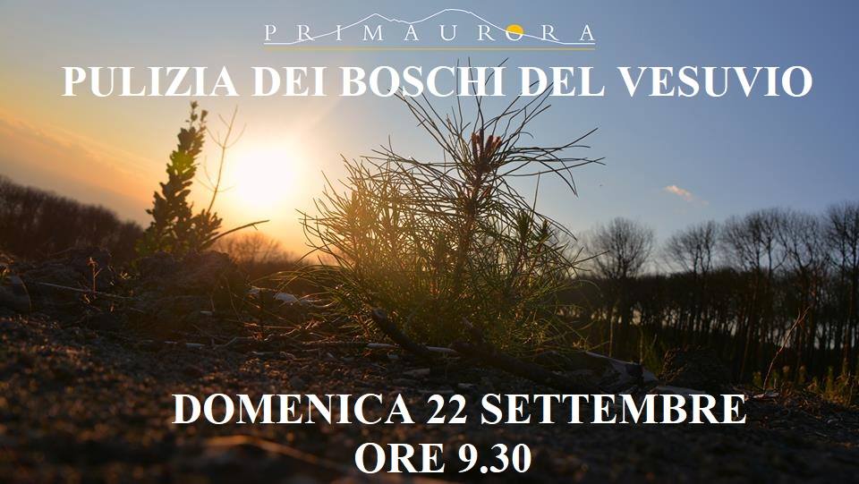 L’associazione Primaurora organizza l’evento 2019 di pulizia dei boschi del Vesuvio