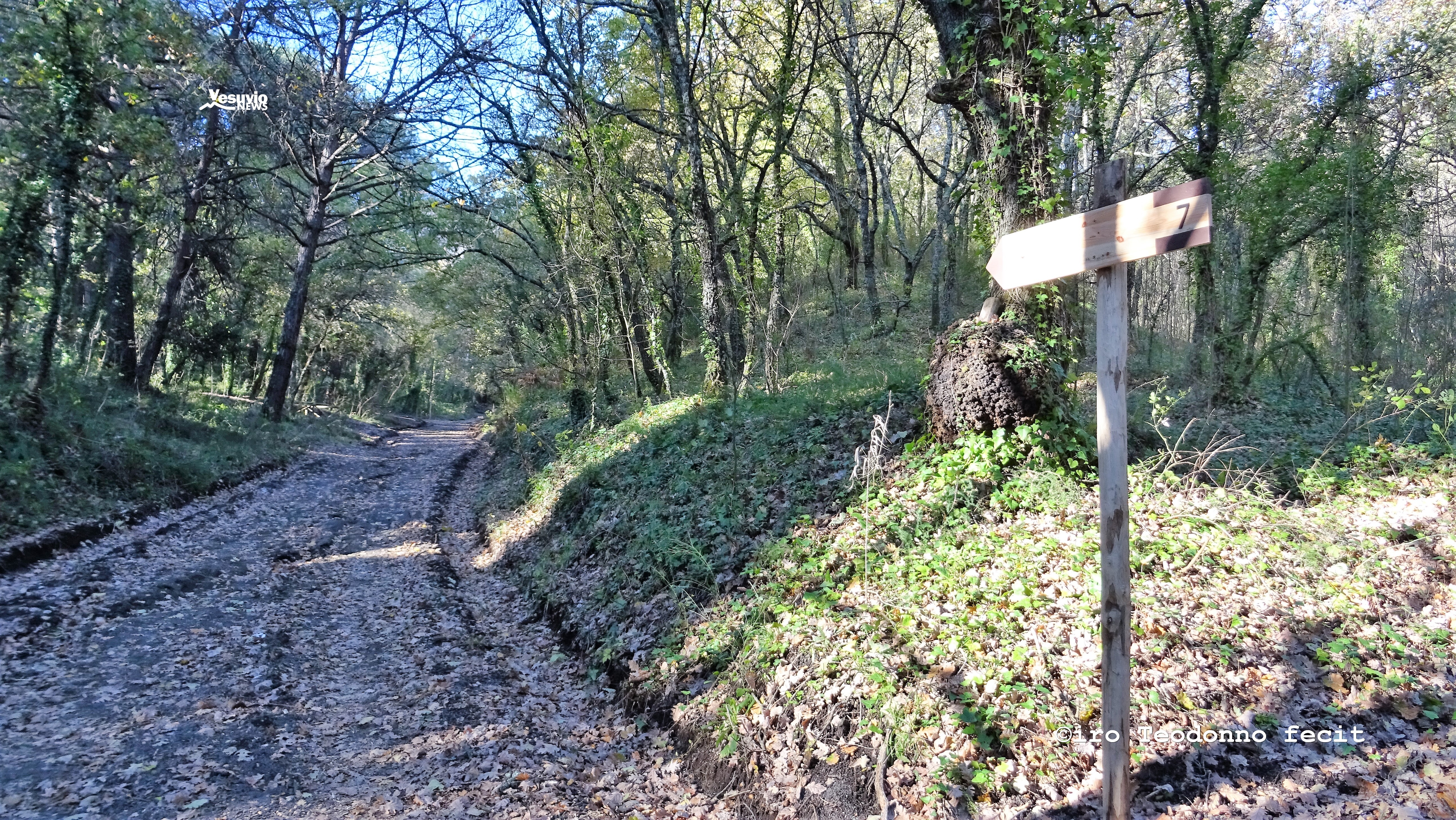 Parco Nazionale del Vesuvio, uno spiraglio di luce con qualche ombra.