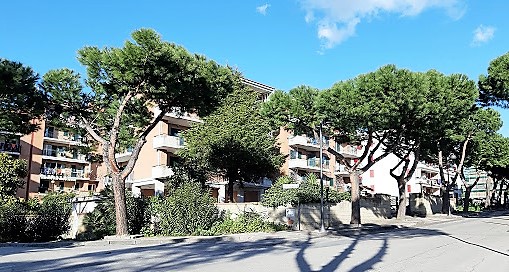 San Sebastiano: La città degli alberi