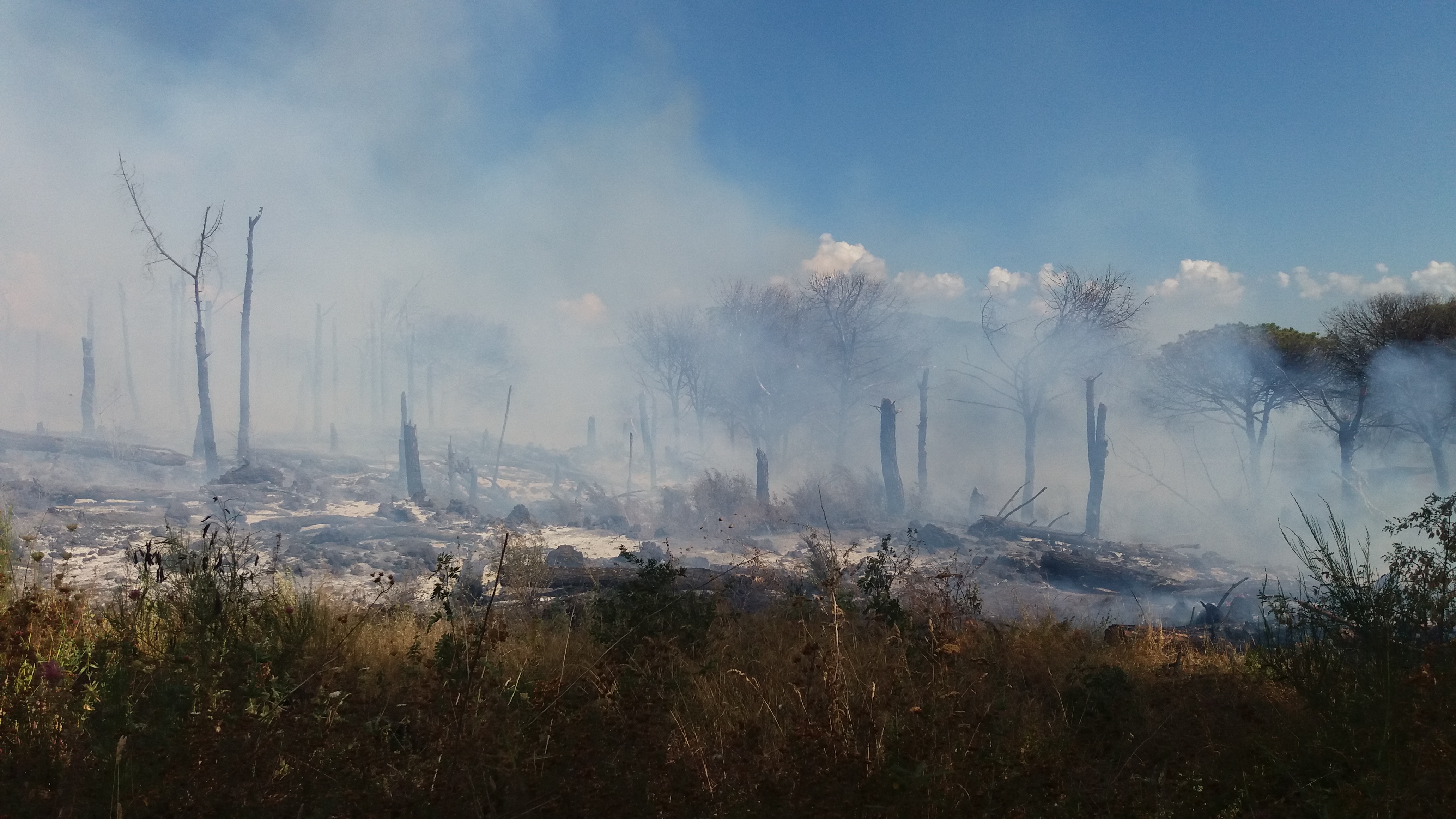 Torre del Greco, torna l’incubo delle fiamme