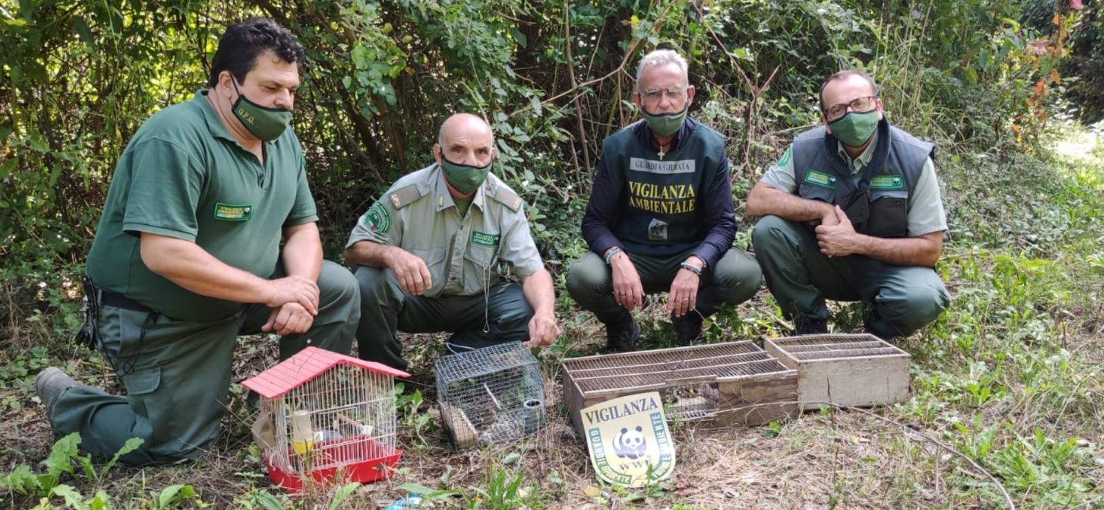 WWF, nuova azione anti-uccellagione nella provincia di Napoli