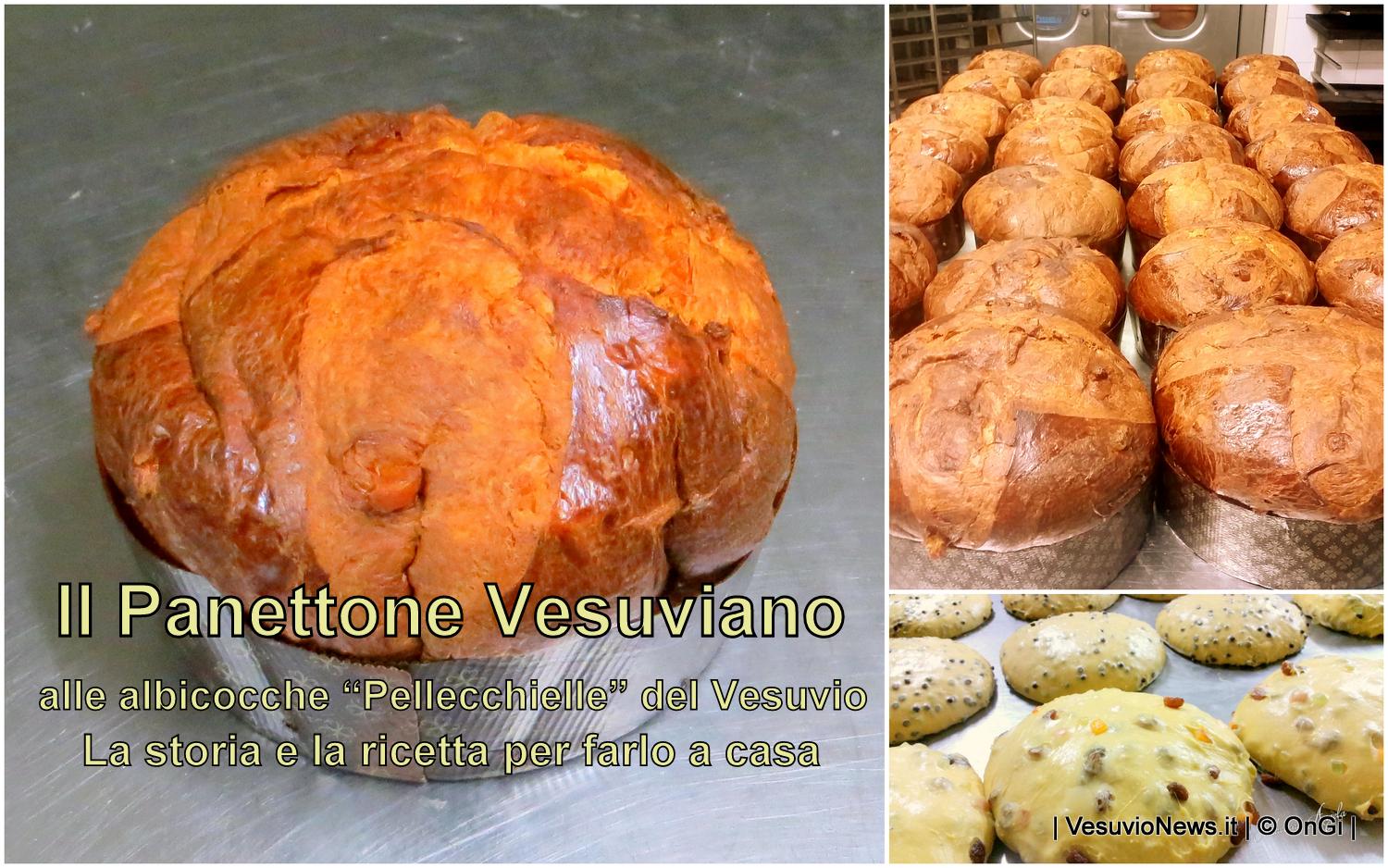 Il Panettone Vesuviano, la ricetta per farlo con le “Pellecchielle” del Vesuvio