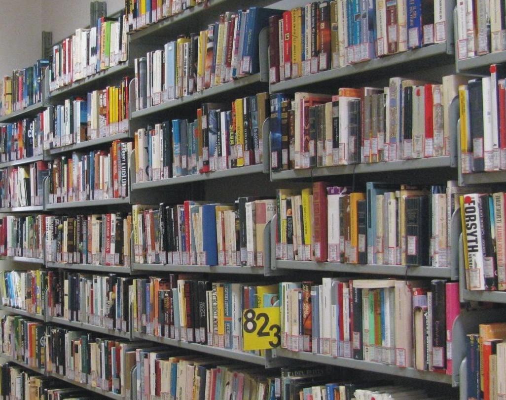 A Palma Campania la biblioteca è on line: testi e giornali consultabili da web