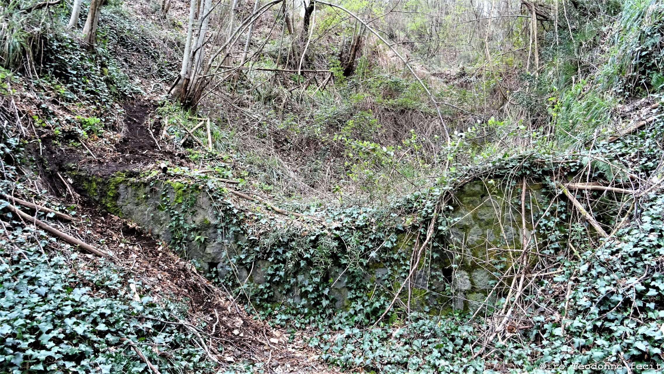 L’alveo Molaro un tesoro nascosto