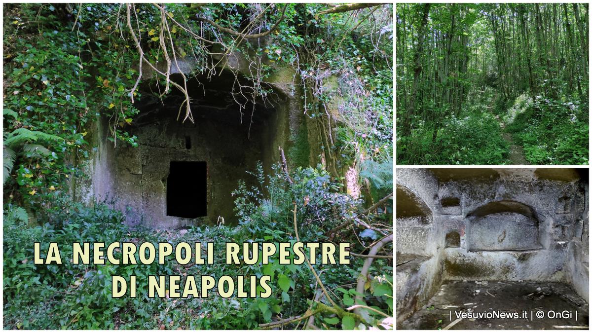 Nel bosco degli avi, alla scoperta delle radici di Neapolis