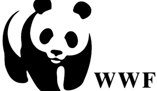 WWF: i risultati della campo antibracconaggio 2021