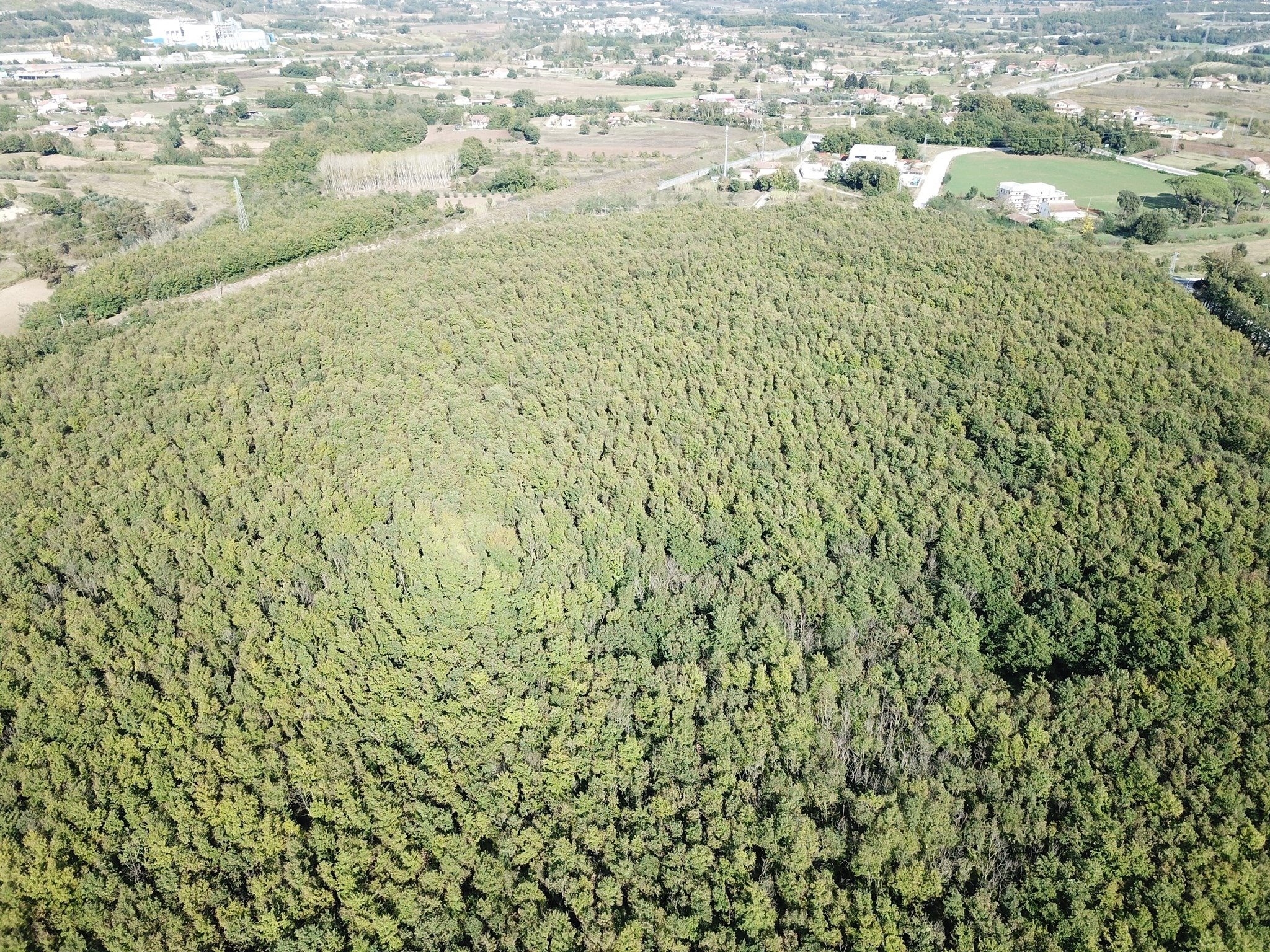 Salvate il Bosco Vandra