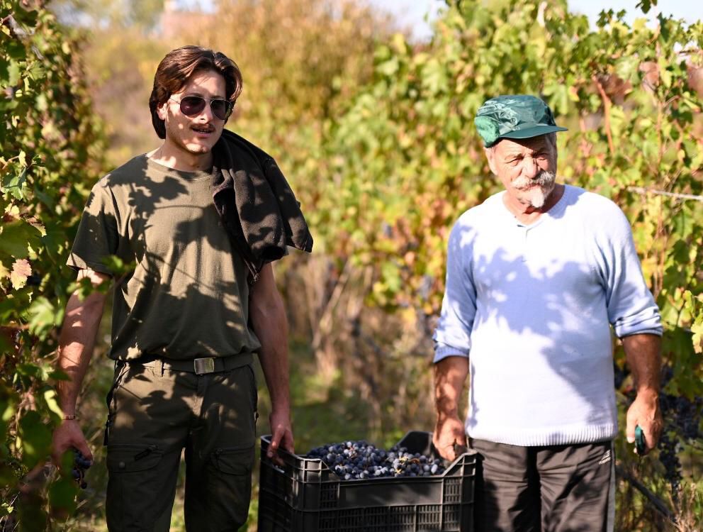 “Le vigneron du Vésuve”