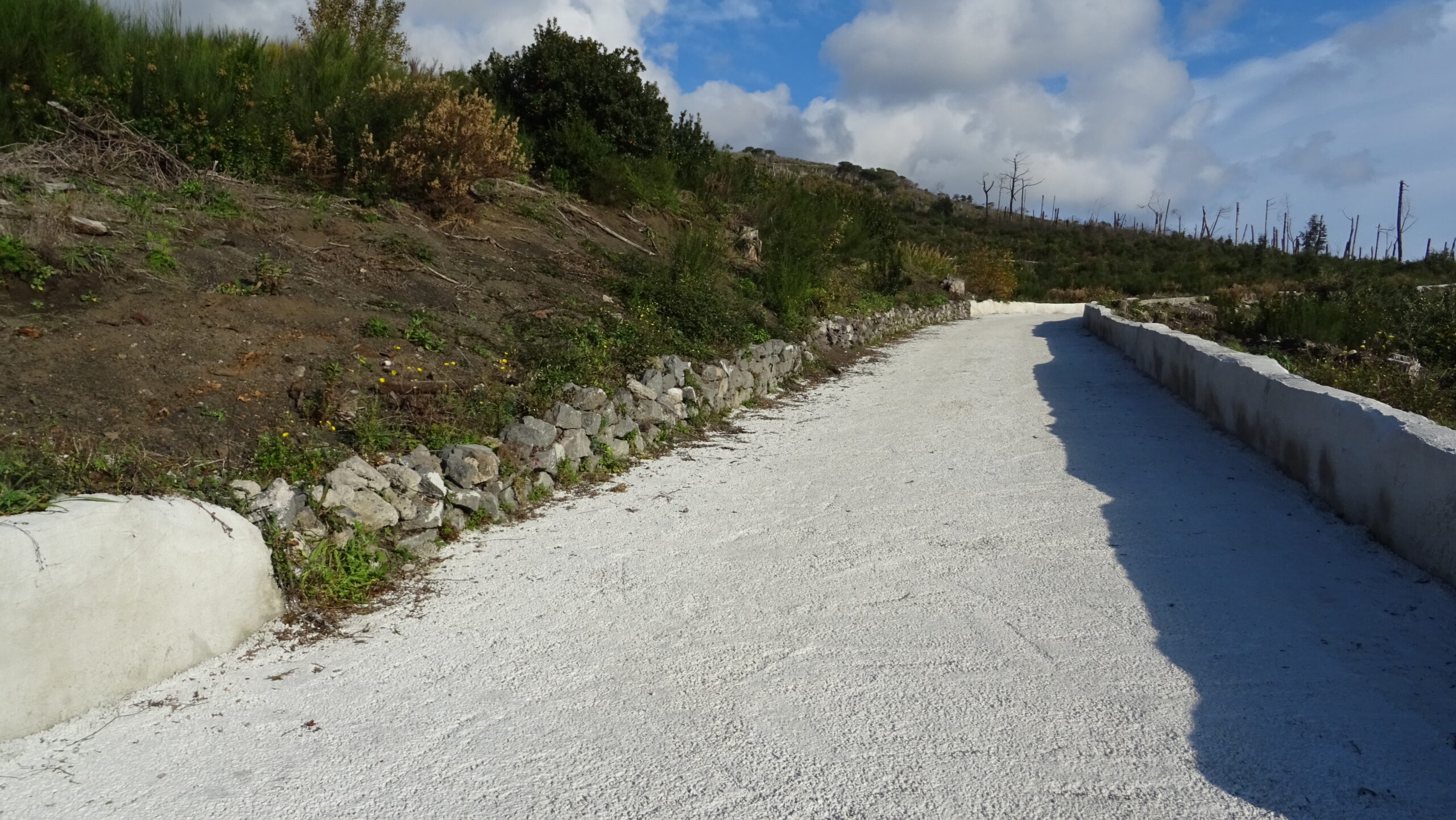 La Strada Matrone e il re nudo