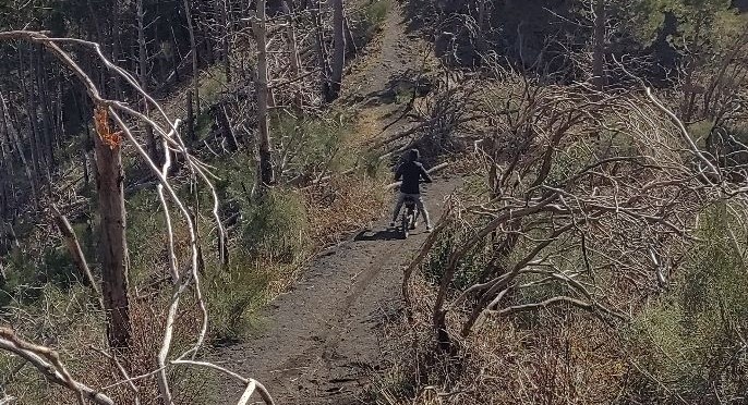 Vesuvio sentieri 1-2. Bici in corsa, cavalli, moto. Escursionisti ‘pericolosi’