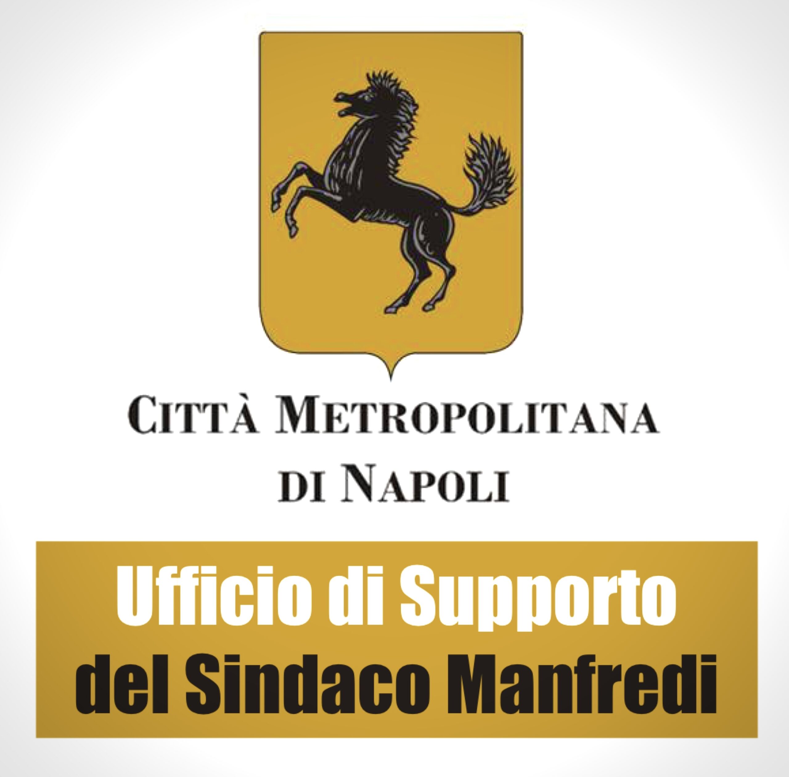 Città Metropolitana di Napoli: nuovi esperti per allargare l’Ufficio di Supporto al sindaco Manfredi